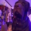 wrinklie05